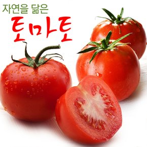 [남도의맛]자연을 닮은 전라도 토마토 정품 3kg (3번과)