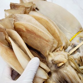 [착한어부] 반건조오징어(피데기) 중 10미 1kg내외/원양산