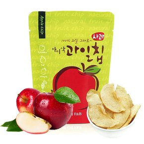 아비삭 자연그대로 사과 과일칩 1봉