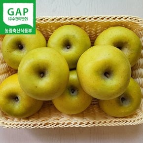 경북 영주 시나노골드 사과 2.5kg (9~12과내외) GAP 저탄소인증 산지직송