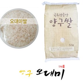 강원도 양구쌀 오대쌀5kg 일반미 쌀