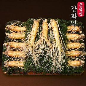 [손정인 강화인삼] 수삼선물세트 바구니형 1,200g(13-16뿌리)