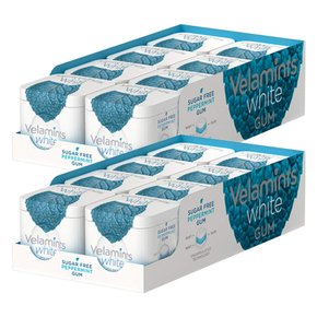 Velamints 벨라민트 화이트 페퍼민트 슈가 프리 무설탕 츄잉껌 40g 16팩 White Gum Sugar Free