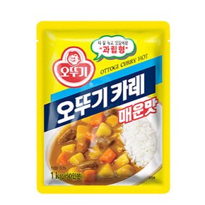 카레 업소용 매운맛 1kg