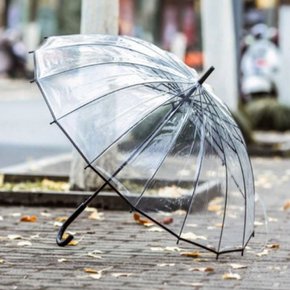 튼튼한 고급 투명우산 장우산 비오는날 장마철 16살대 대형 비닐 자동 우산 답례품 단체선물