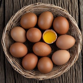 HACCP인증 아침에 낳은 영양란 계란 40구 특란 ( 20구* 2) /안전포장