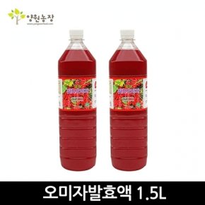 [양원농장] 오미자발효액 1.5L
