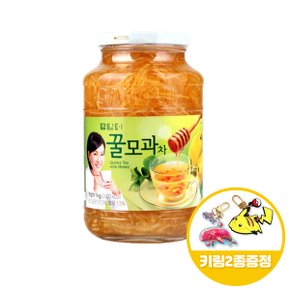 담터 꿀모과차 1kgx1병+키링2종 무료배송