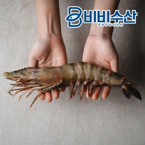 킹타이거새우 23cm내외 1마리 (100g~139g)