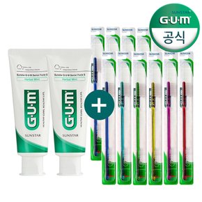 GUM 세트 돔트림 강한모 칫솔 407 12개 + 덴탈페이스트S 치약 130g 2개 (13%할인)