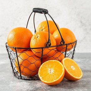 [델리후르츠] 선키스트 블랙라벨 네이블 오렌지 10수 (개당 200g내외)