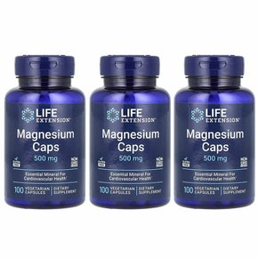 3개X 마그네슘 캡슐 500 mg 100 베지 캡슐