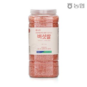 농협 상황,영지,동충하초 버섯쌀 2.2kg