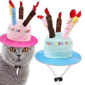 강아지 고양이 케이크 생일모자 파티 애견 코스튬