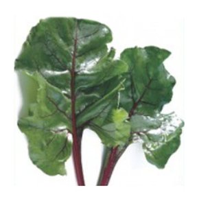 궁전 적근대 쌈 잎 잎 야채 쌈 채소 종자 씨앗 40g