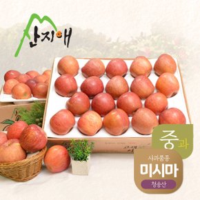 산지애 알뜰 못난이사과(중과) 4.5kg 2box / 청송산 미시마 , 당도선별