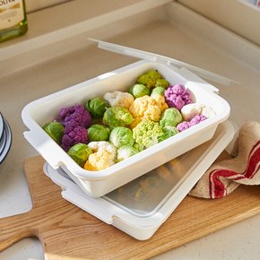 냉동실 냉장고 정리 보관 용기  플라스틱 직사각 바트 밧드 야채 채소 김밥 중 2개
