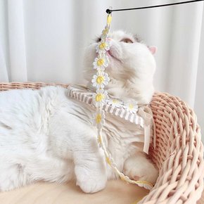 동백꽃 낚시대 고양이 끈 장난감 카샤카샤 리필 색상랜덤