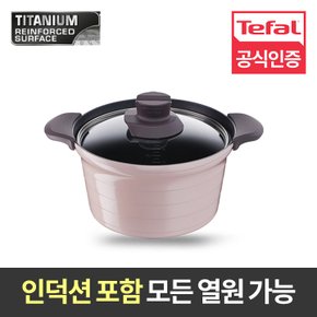 [한국형 냄비] 테팔 트레져 인덕션 국냄비 24cm