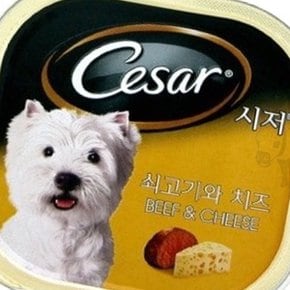 시저캔 쇠고기와치즈 24개 1박스 강아지주식캔 강아지통조림간식 강아지기호성좋은간식