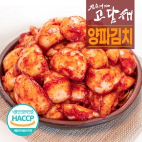고담채 풍부한 무안 양파김치 1kg~