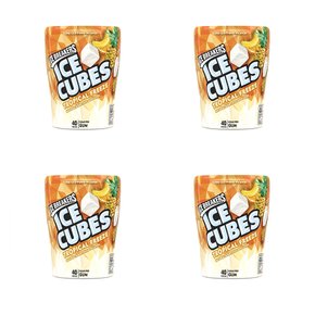 [해외직구]아이스 브레이커 큐브 슈가프리 트로피칼 껌 40입 4팩/ ICE Breakers Gum Cubes Tropical Gum