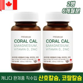 캐나다 6개월분 칼슘 마그네슘 비타민D 아연 코랄칼슘 칼막디 1+1