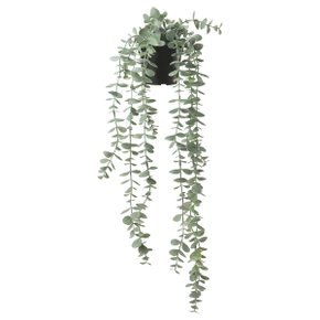 SSG 페이카 인조식물 실내외겸용 걸이형 유칼립투스 58cm 화분지름9cm