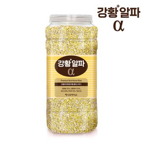 [정기배송가능]하나로라이스 강황에 영양잡곡을 더한 강황플러스알파 2kg /2주간격 2회배송
