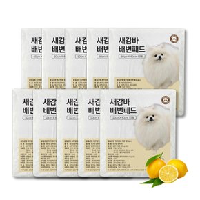 브이펫 새감바 휴대용 애견배변패드 10매 10팩 / 레몬향
