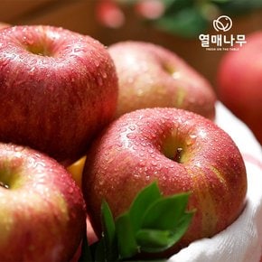 [열매나무] 못난이 사과 3kg+3kg / 박스당 9~16과