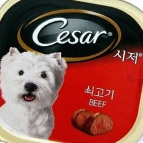 시저캔 쇠고기 24개 1박스 강아지대용량캔 강아지주식캔 강아지기호성좋은간식