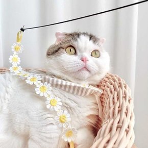 동백꽃 낚시대 고양이 끈 장난감 카샤카샤 리필