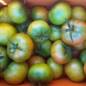 [도시농부] 부산 대저 토마토 2.5kg 2S사이즈(로얄싸이즈)