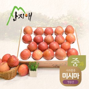 산지애 알뜰 못난이사과(중과) 4.5kg 1box / 청송산 미시마 , 당도선별