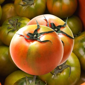 포미식탁 부산 대저 짭짤이 토마토 2.5kg 중과