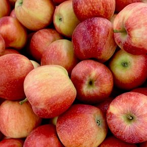 사과 10kg(30-40개)
