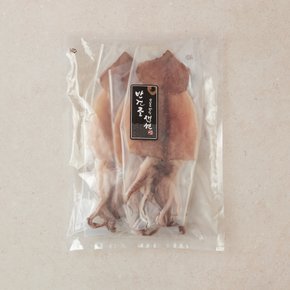 [냉동][원양] 식감이 살아있는 반건조 오징어 (4~6미, 550g)