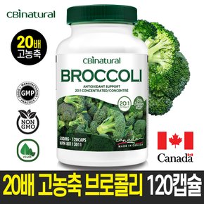 20배 농축 유기농 브로콜리 500mg 120캡슐 4개월 캐나다 생산  캐나다 식약청 GMP/NPN인증