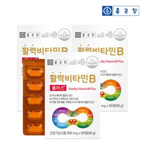 활력비타민B플러스 3박스 6개월분[27313606]