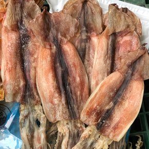 동해안 햇 반건조오징어 10마리(소) 1kg 국내산오징어
