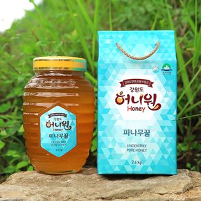 [영월 강원허니원영농조합]100% 자연채밀 피나무 벌꿀(2.4kg)