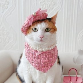 진주 트위드 스카프 모자 바비 고양이 강아지 옷 코스튬 생일 선물