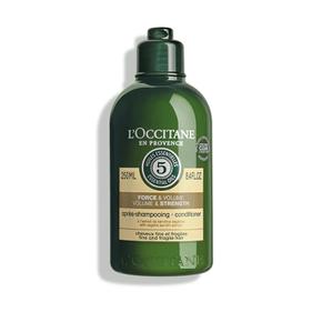 [해외직구] L`OCCITANE 록시땅 파이브허브 볼륨 앤 스트렝스 컨디셔너 250ml