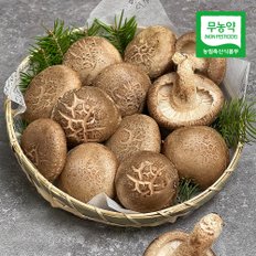 [산지직송] 부여 무농약 표고버섯(향고) 1kg