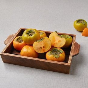 금주 과일 행사 ~30%