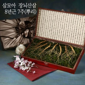 삼모아농장 [삼모아] 장뇌산삼(산양산삼) 8년근 7뿌리(효도선물세트)/고가구케이스+실크보자기포장