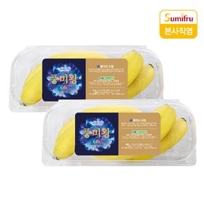 풍미왕 바나나 1.1kg (총 2팩)