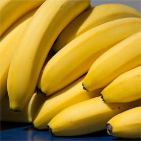 풍미왕 바나나 1.1kg (총 2팩)