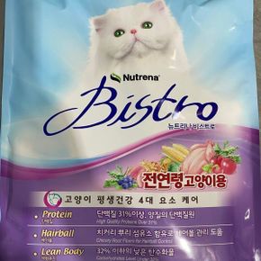 비스트로 고양이 사료 6kg 300gx20봉